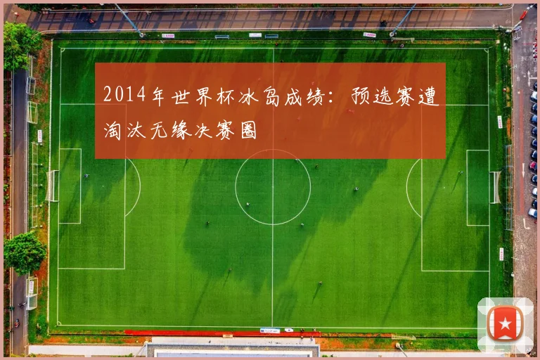 2014年世界杯冰岛成绩:预选赛遭淘汰无缘决赛圈