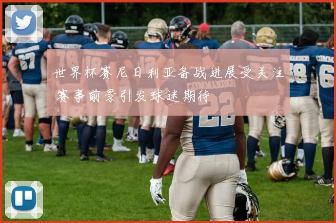 世界杯赛尼日利亚备战进展受关注 赛事前景引发球迷期待