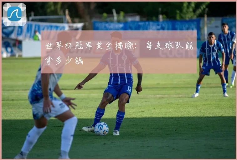 世界杯冠军奖金揭晓:每支球队能拿多少钱