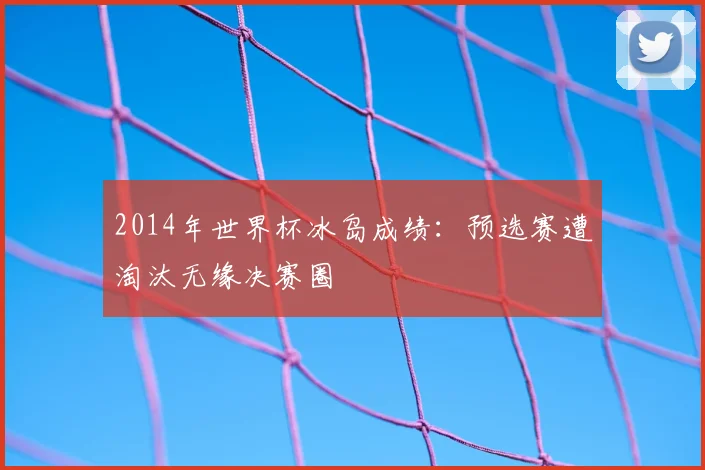 2014年世界杯冰岛成绩:预选赛遭淘汰无缘决赛圈