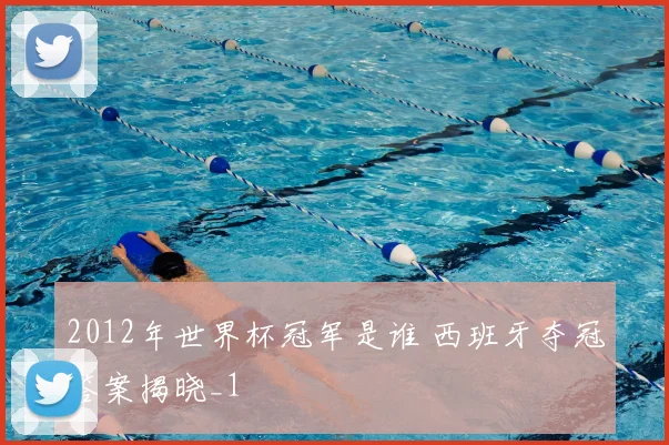 2012年世界杯冠军是谁 西班牙夺冠答案揭晓_1